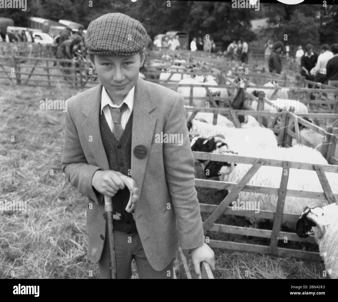 1980s, a smartly dressed young man, a Judge, in a jacket and tie and cloth cap standing in a sheep pen at the Farndale Show, Yorkshire, England, UK. Stock Photo