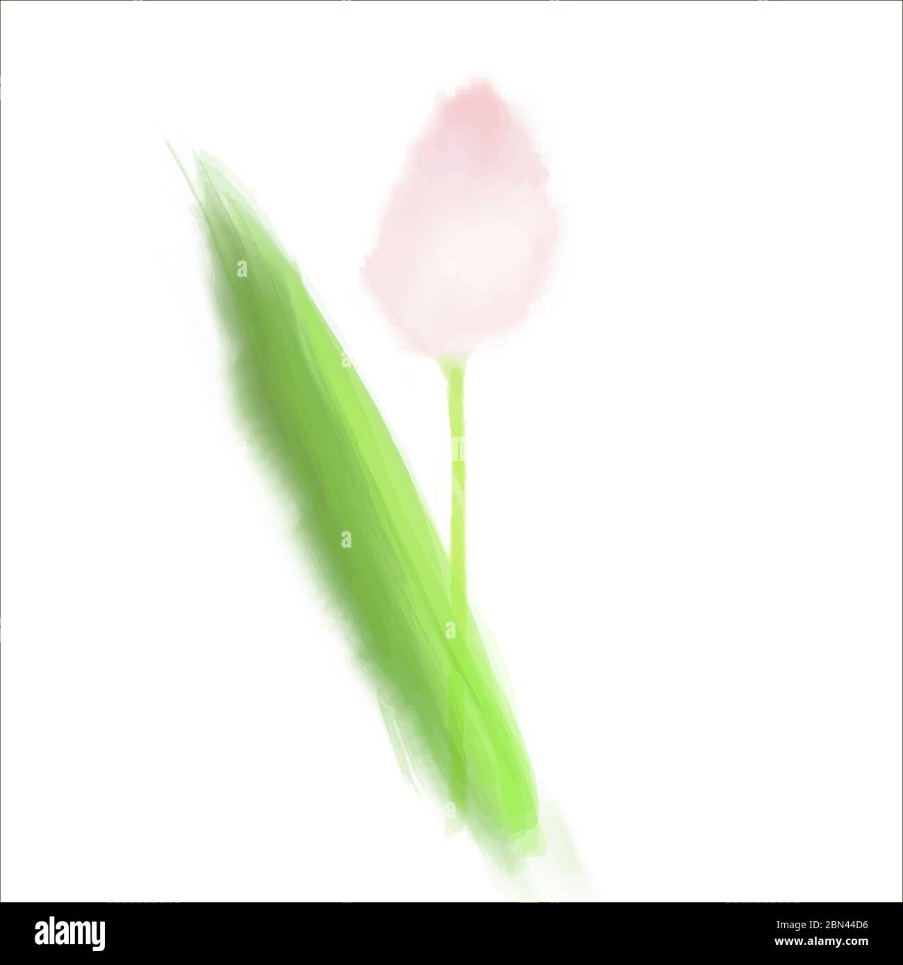 Vector illustration pink tulip in watercolor style Stock Vector Image ...
