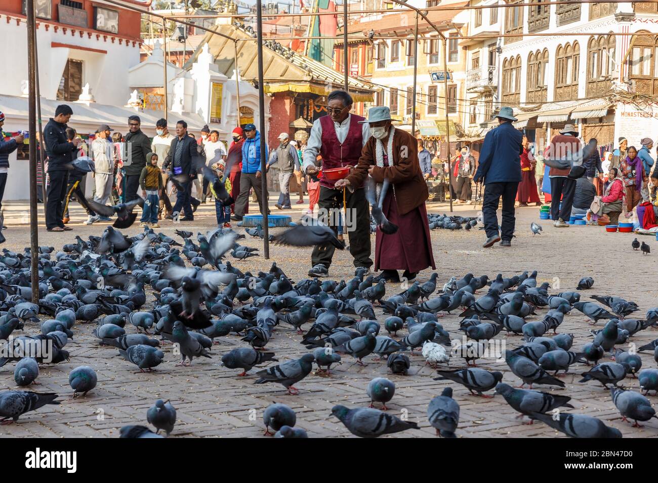 Katamandu, Nepal - November 12, 2016: An elderly Nepalese man and woman feed pigeons on the square near Boudhanath. Bouddha Stupa. Stock Photo