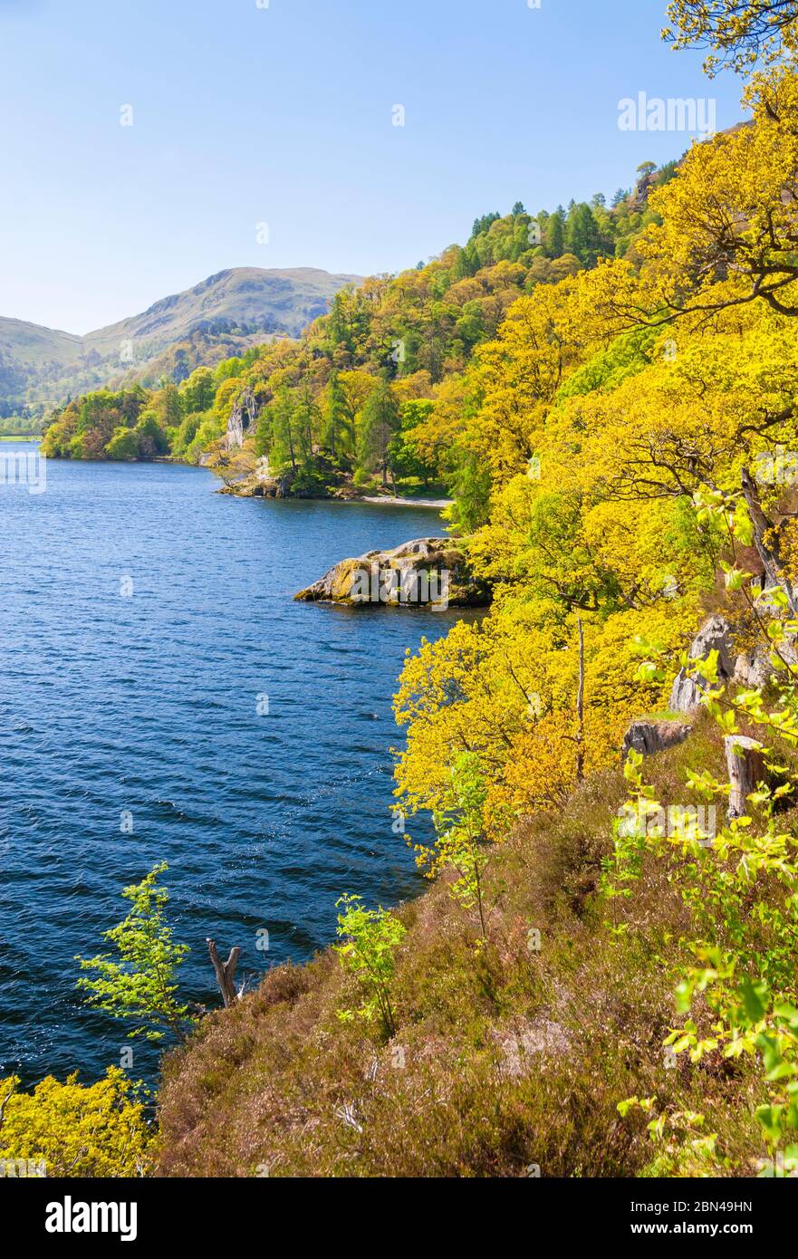 View along the shore of Ullswater, Lake District national park. England. UK Stock Photo