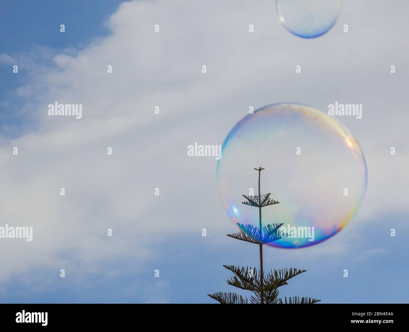 Soap bubble floating in the air as the blue sky Stock Photo - Alamy