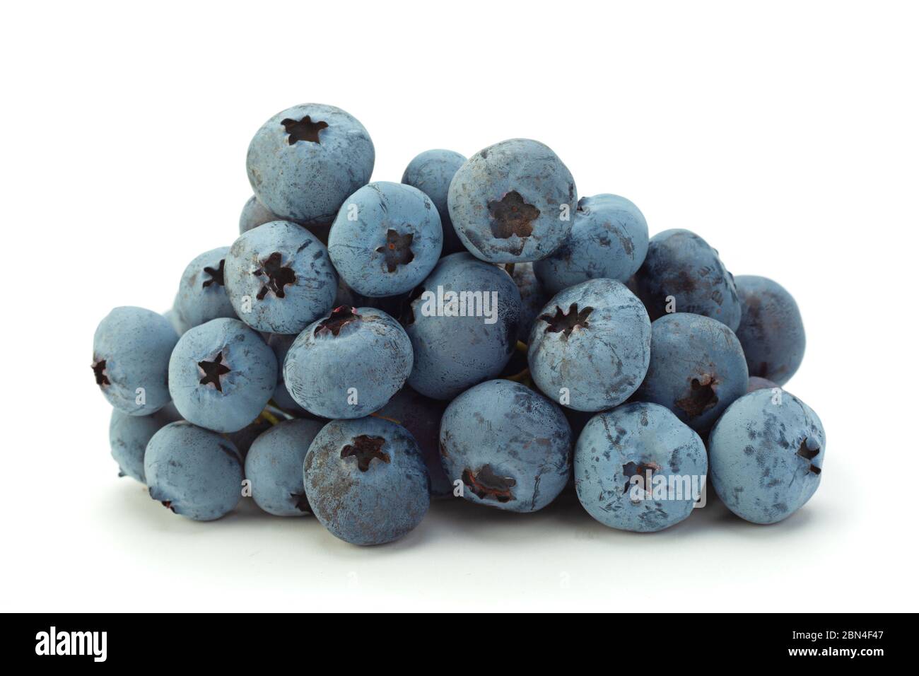 Blueberry with leaf closeup isolated on white background Stock Photo