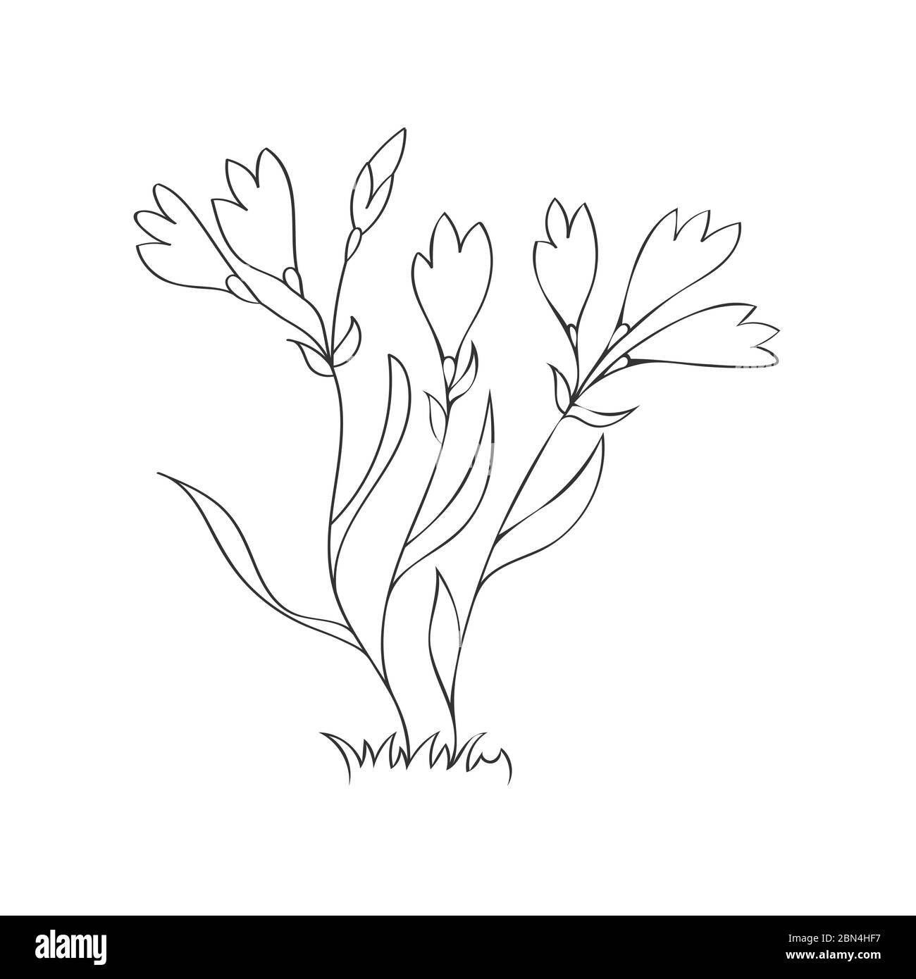 Vector illustration of a flower. Stock illustration isolated on a white background linear design for thematic drawings and scrapbooking Stock Vector