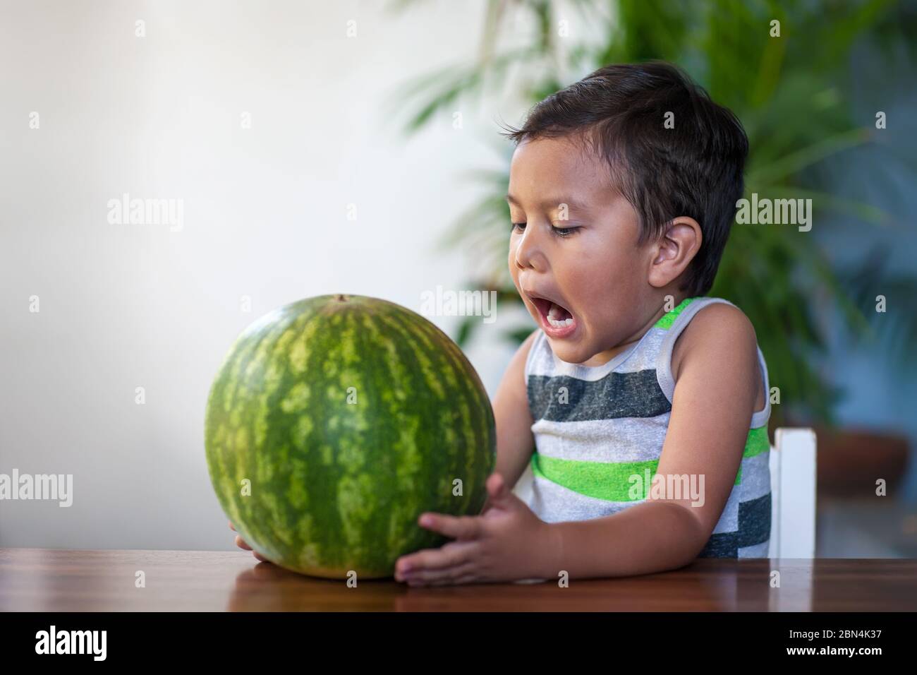 A toddler holding a ripe watermelon who is eager to bite into the low-calorie fruit during summer. Stock Photo