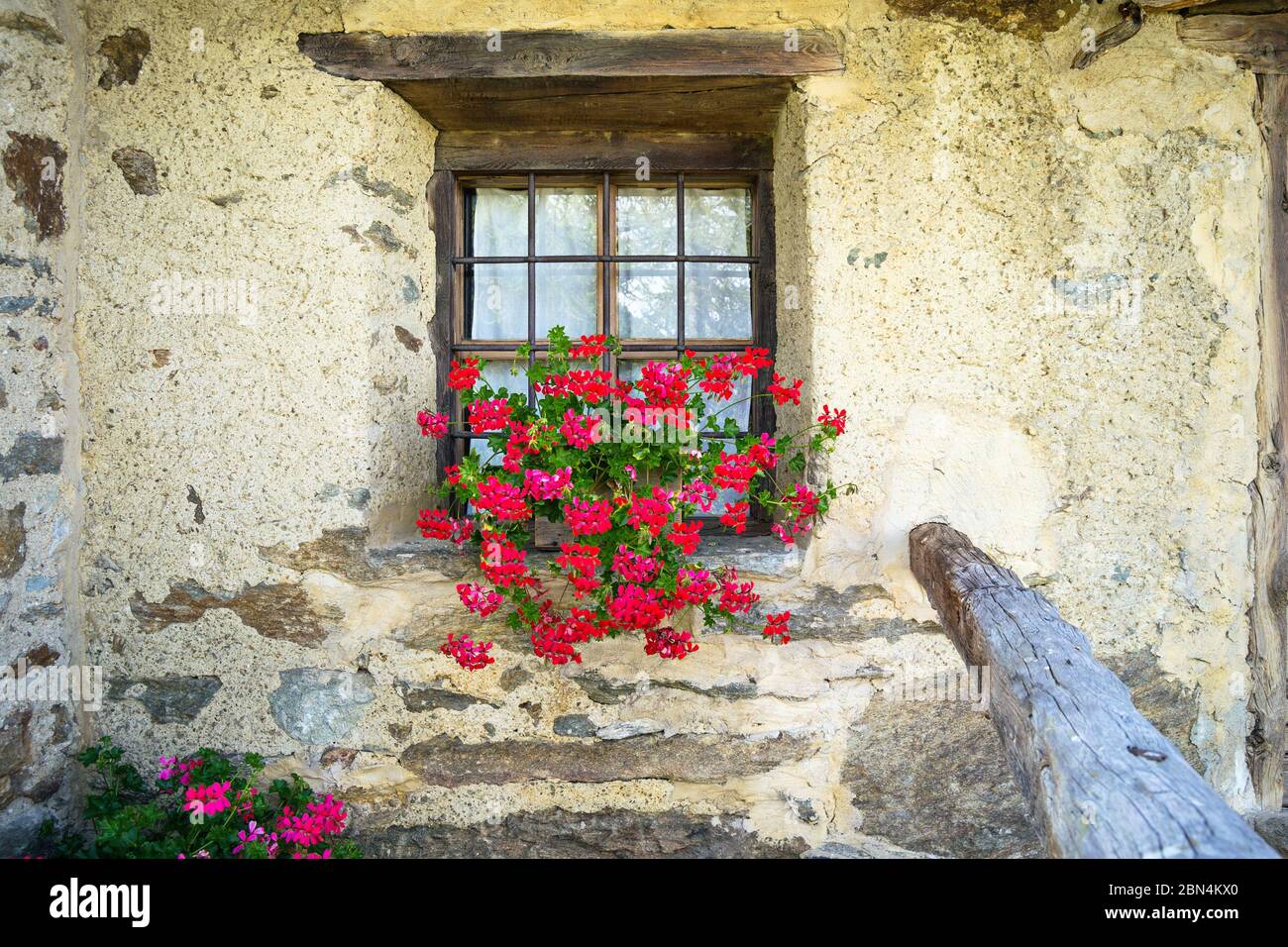 Close-up of the wooden window of an old mountain chalet with a red flowering potted plant on the windowsill, Aosta Valley. Italy Stock Photo