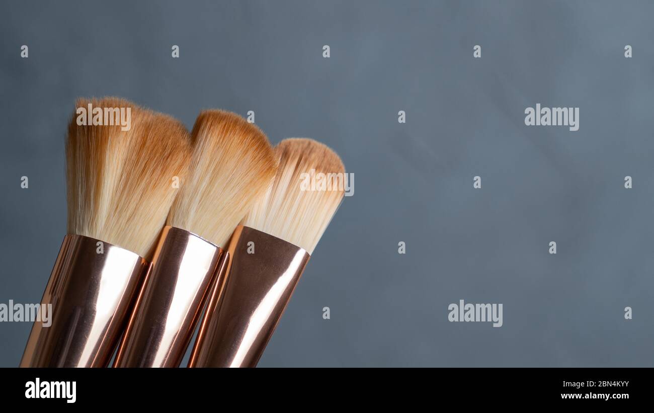 Professional makeup brush set on gray background. Various makeup brushes. Fashion background. Stock Photo