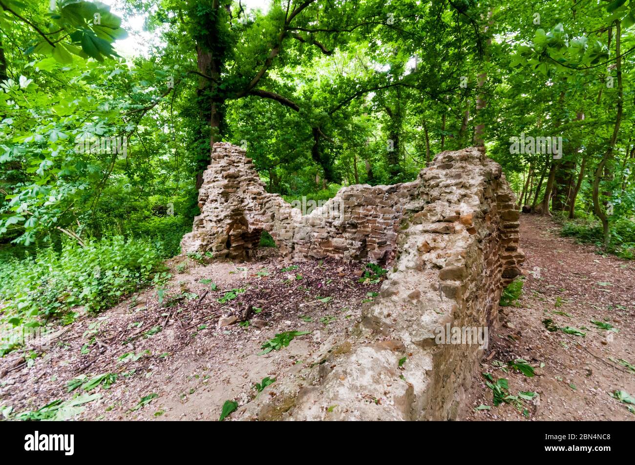These ruins are all that remains of a medieval brick watchtower or warrener's lodge on Ken Hill in Snettisham, Norfolk. Stock Photo