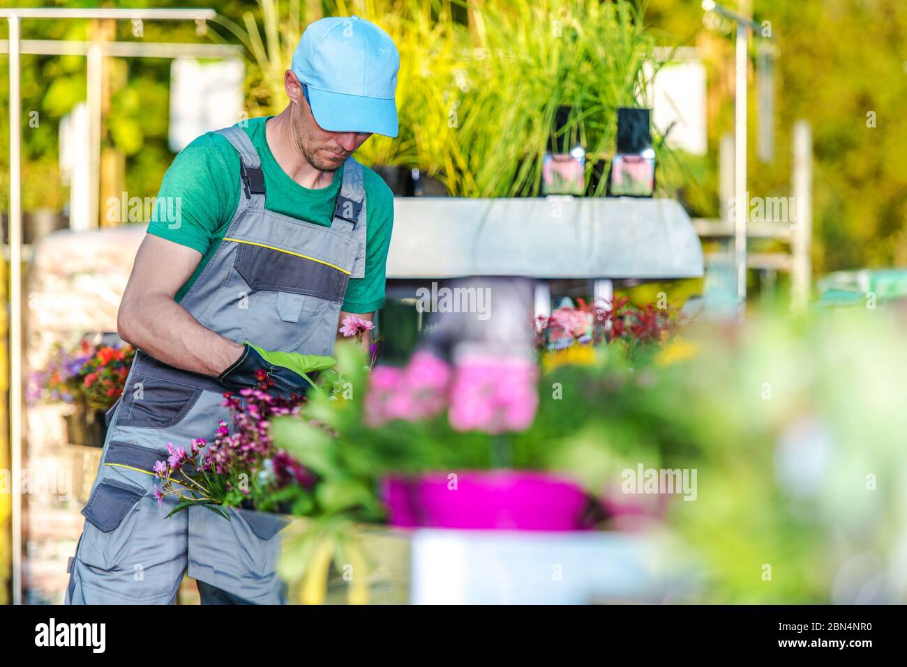 Male Garden Store Worker Tends To Plants And Flowers In Greenhouse Of Home Improvement Center. Stock Photo
