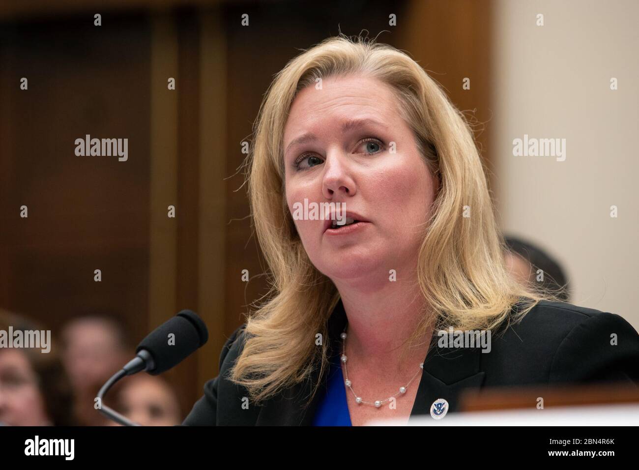 U S Customs And Border Protection Office Of Field Operations Executive Director Todd Hoffman Testified Before The