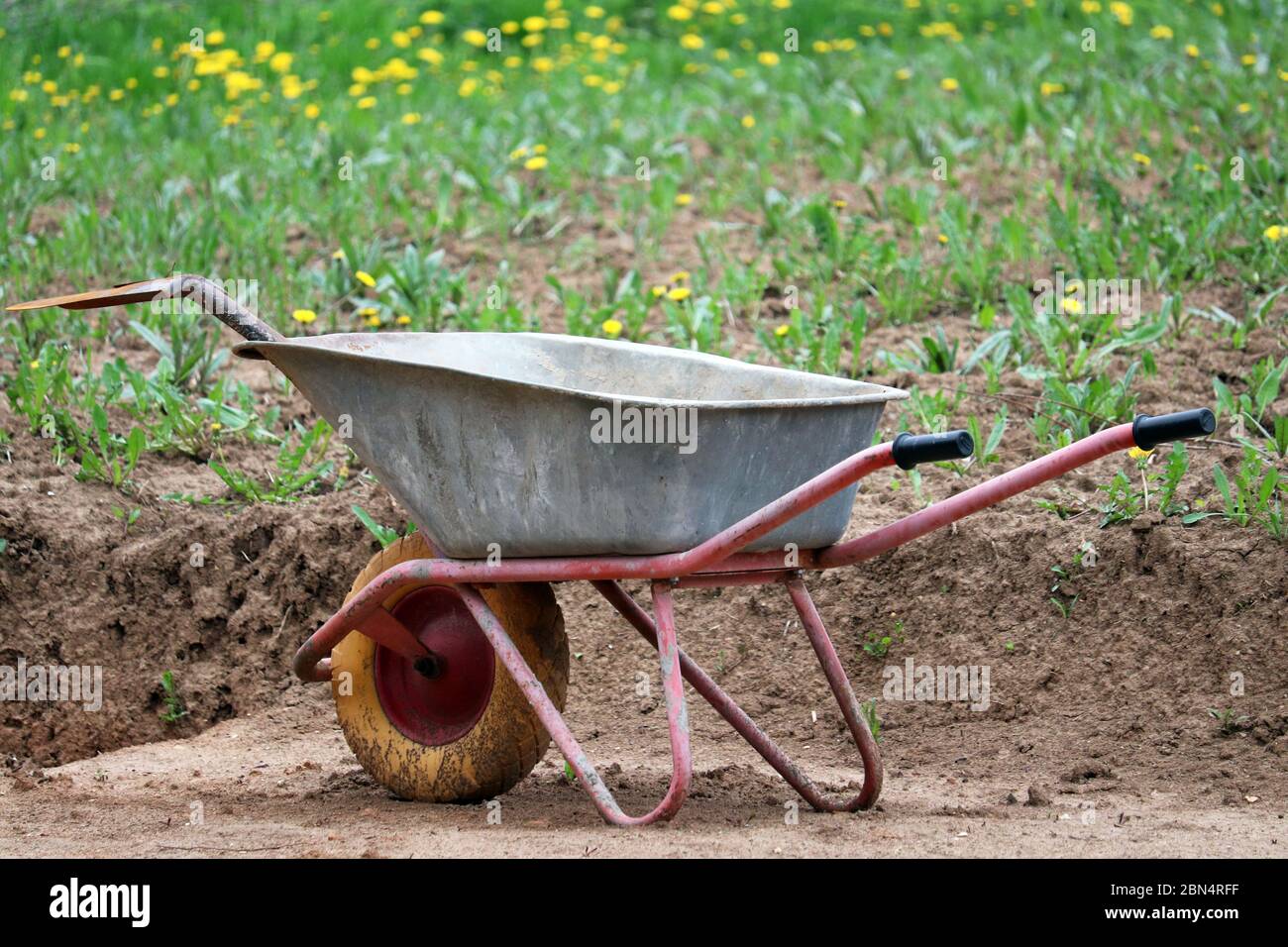 Metal wheelbarrow with shovel near the heap of soil and meadow with green grass and blooming dandelions. Earthworks, urban landscaping Stock Photo