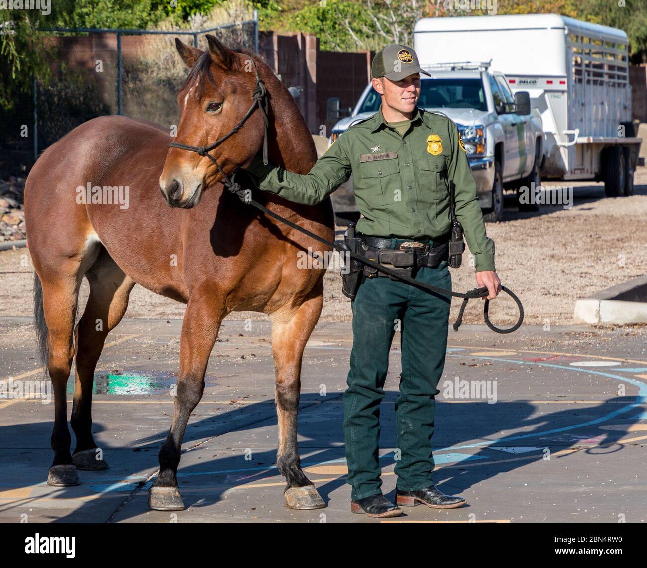 Thank you animals hires stock photography and images Alamy