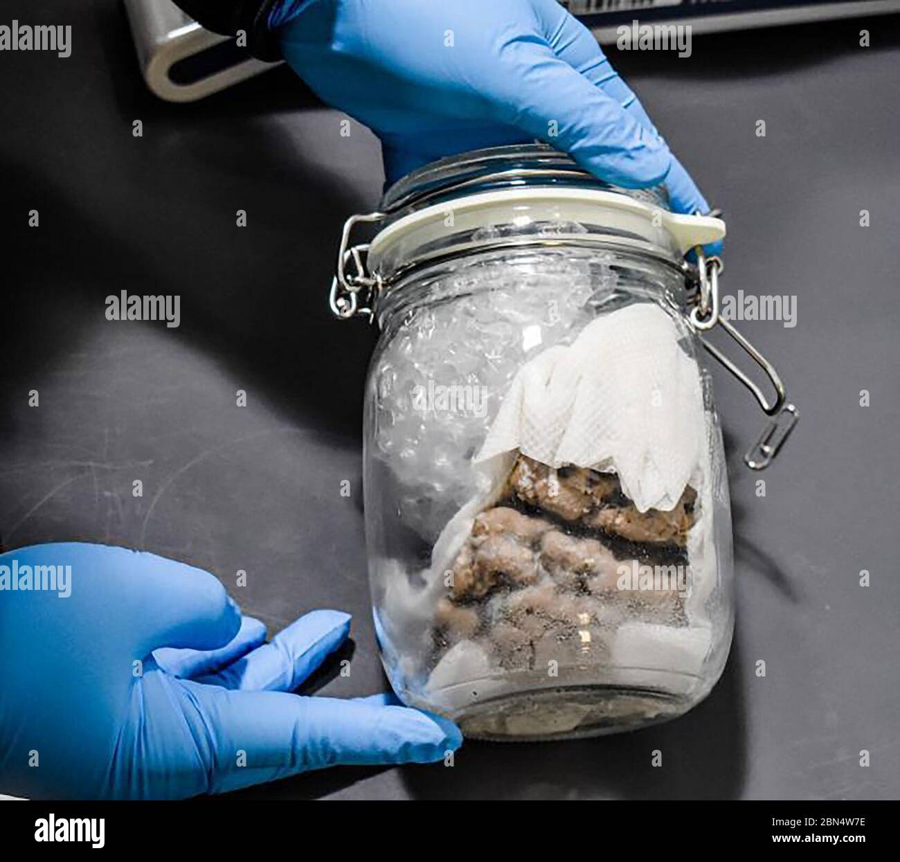 PORT HURON, Mich U.S. Customs and Border Protection (CBP) officers