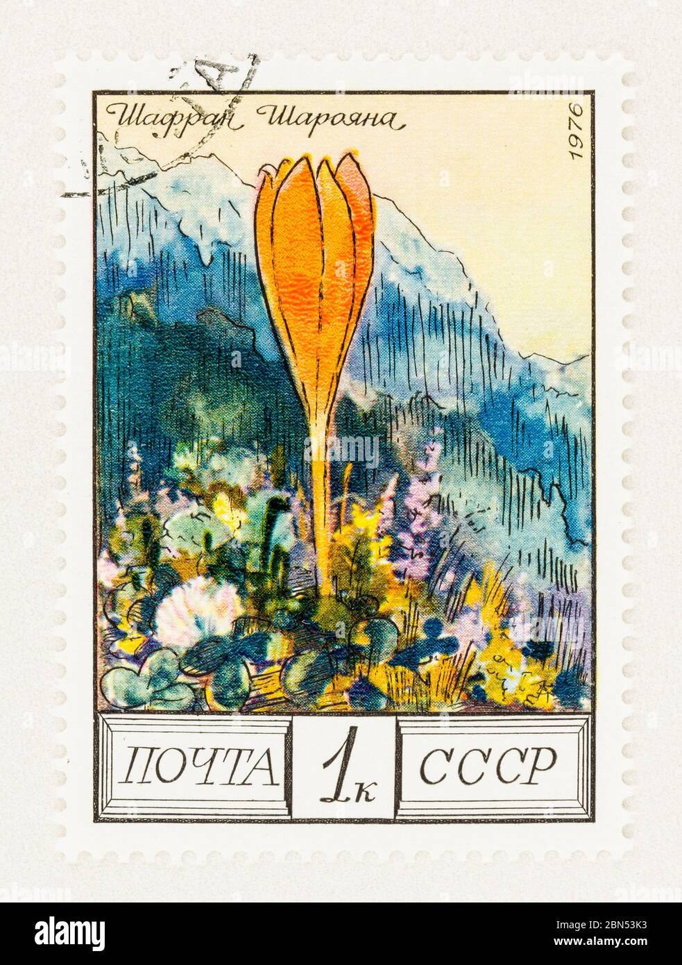 SEATTLE WASHINGTON - May 11, 2020: Flowers of Caucasus Issue featuring stylized yellow flowering crocus, Crocus scharojana Scott # 4505 Stock Photo