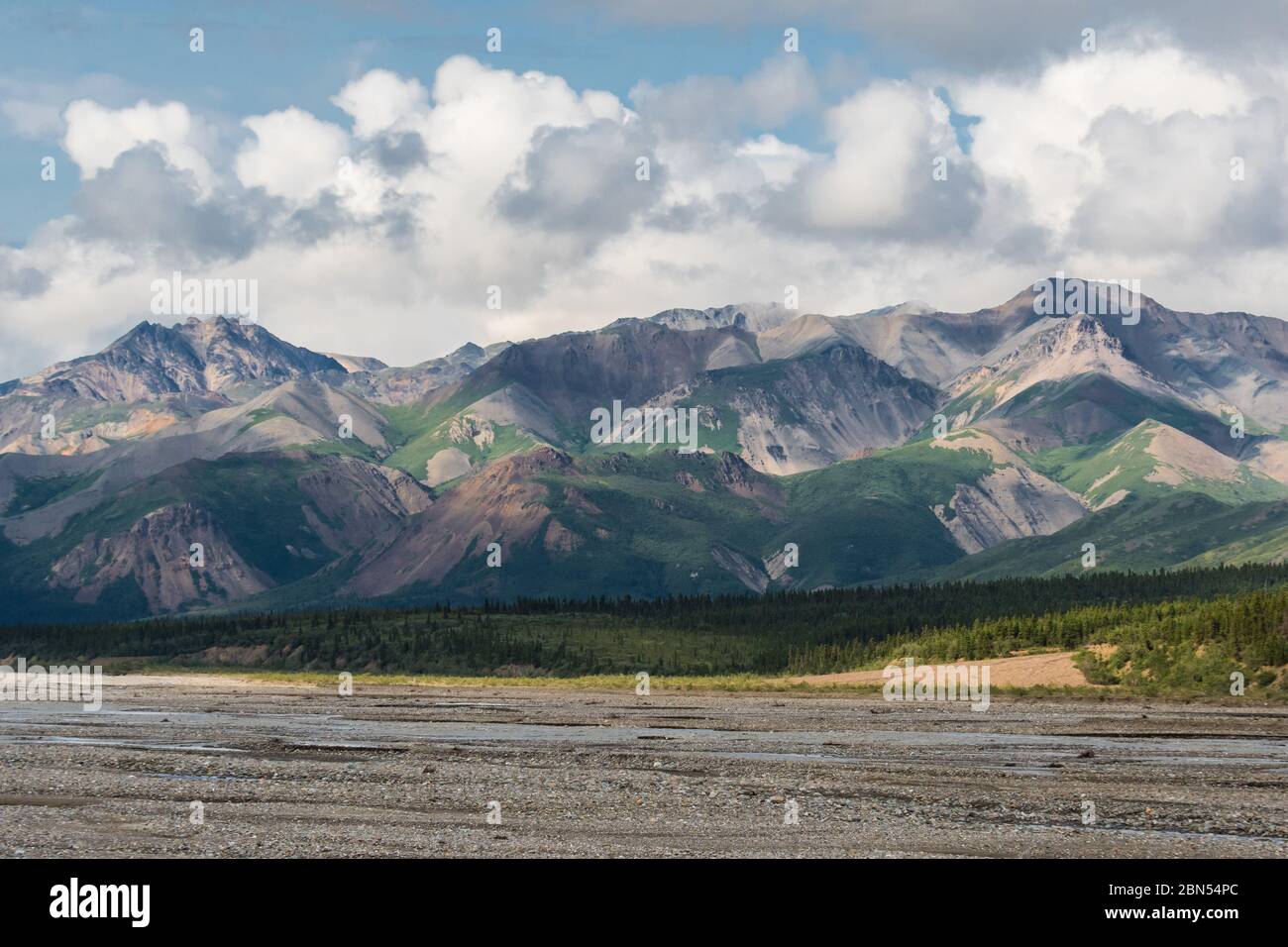 A braided river with rugged mountains and puffy clouds in the sky in Denali National Park, Alaska, USA Stock Photo