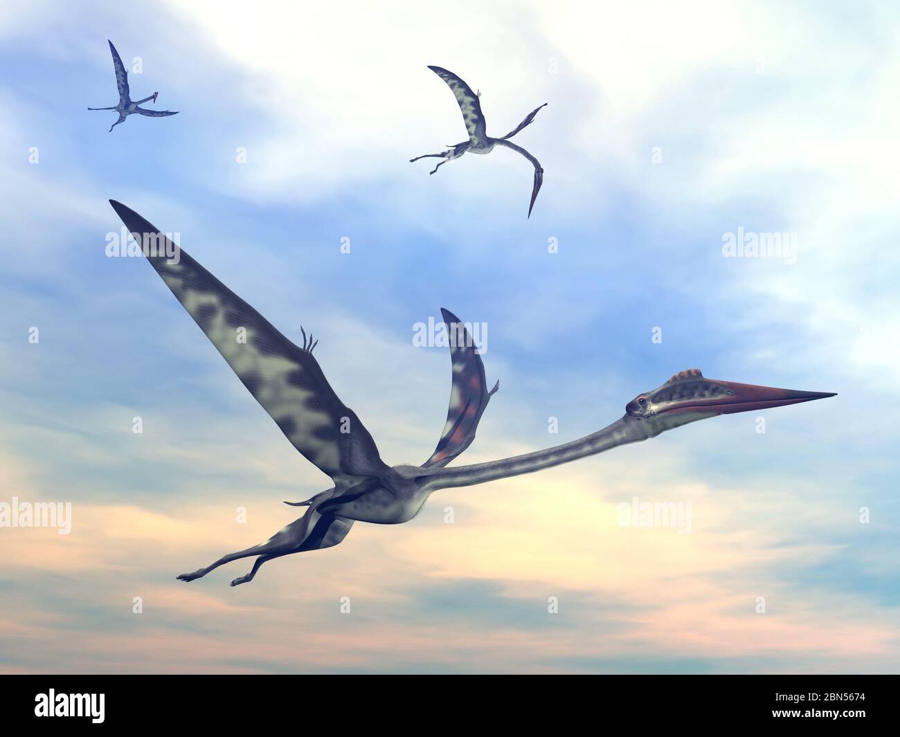 Quetzalcoatlus Flying Together By Sunset 3D Render Stock Photo Alamy quetzalcoatlus-flying-together-by-sunset-3d-render-stock-photo-alamy