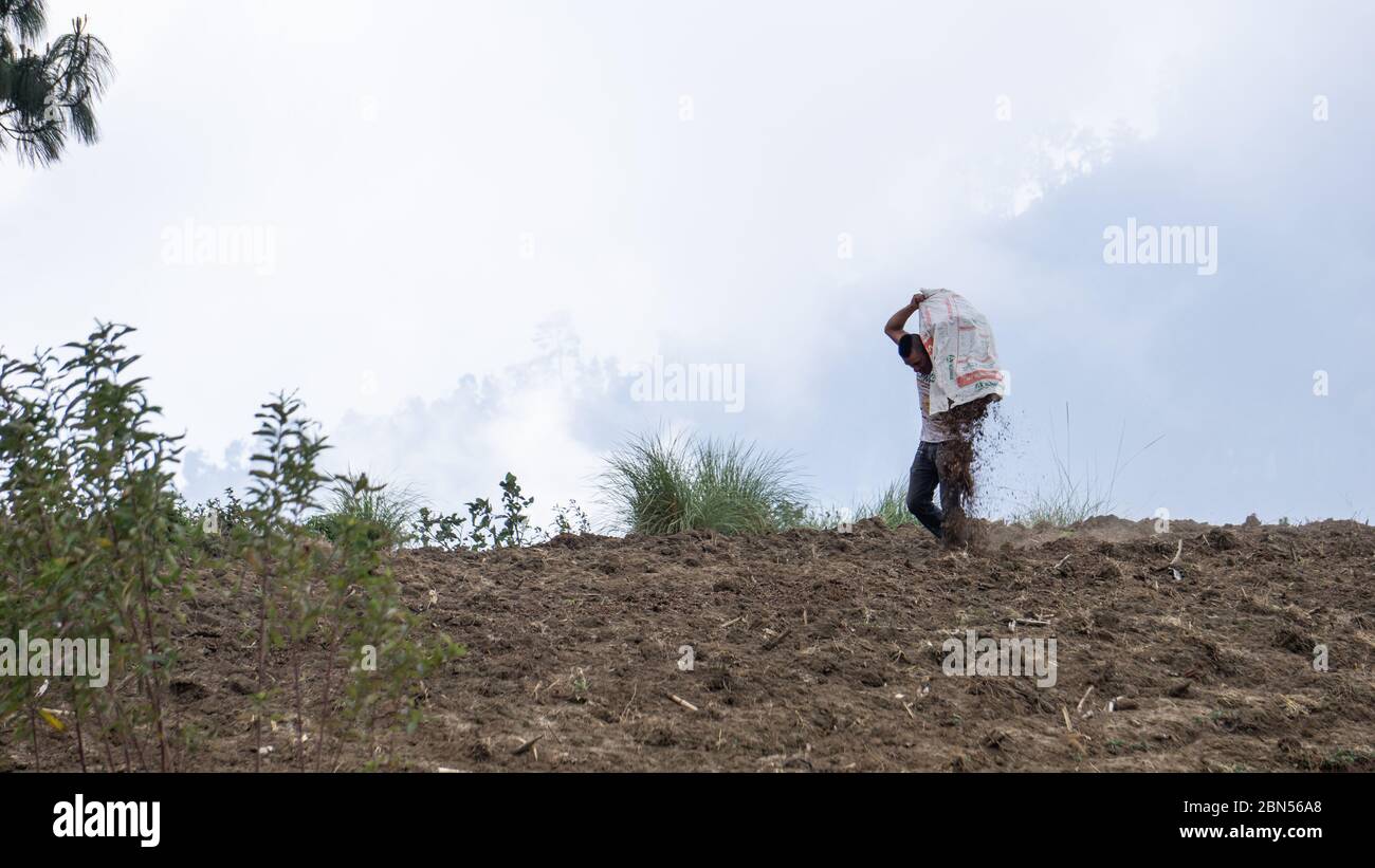 A man sowing on a field in the highlands of Guatemala Stock Photo