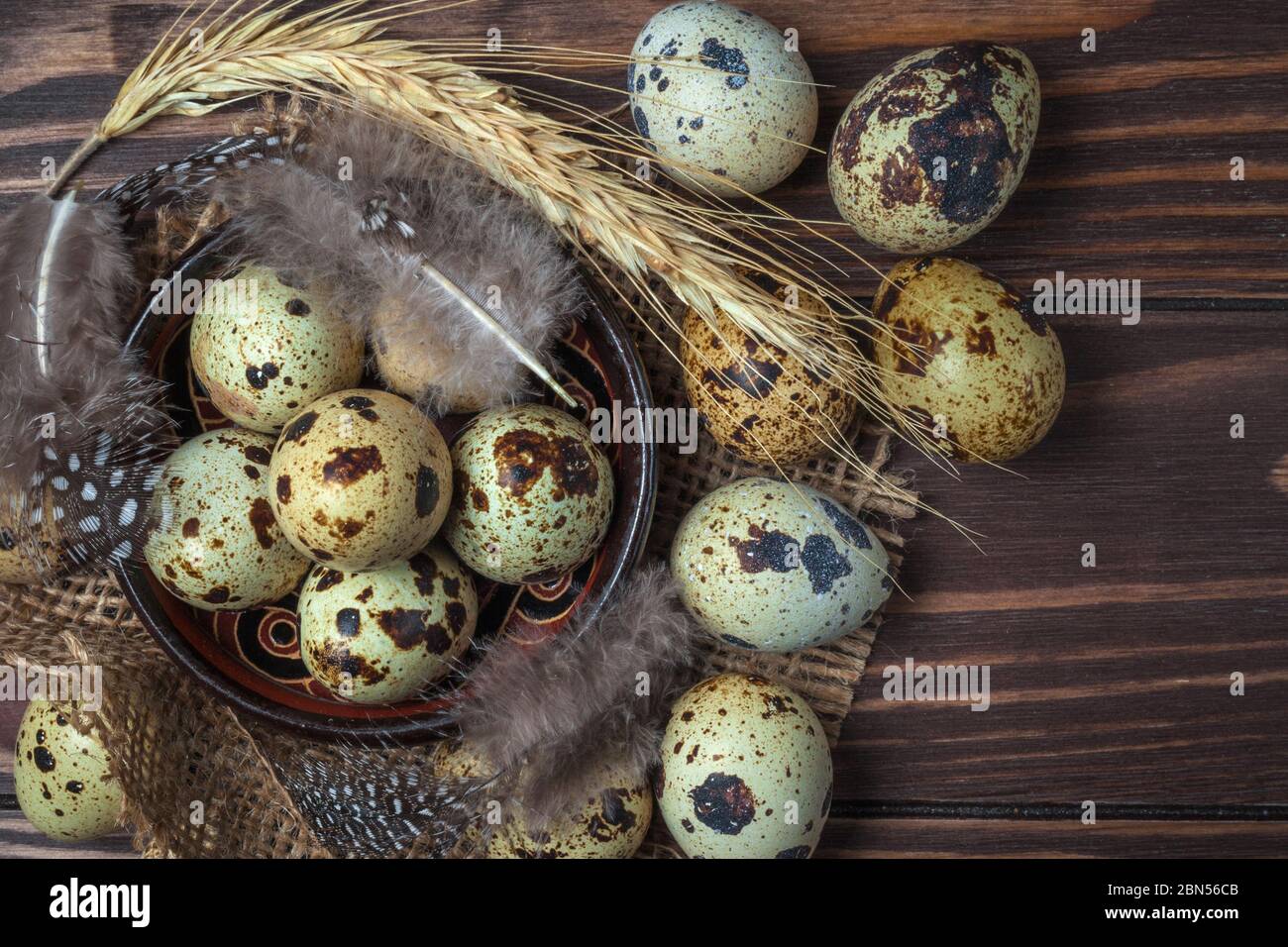 Quail eggs and feathers in a clay plate on a dark wooden background ...