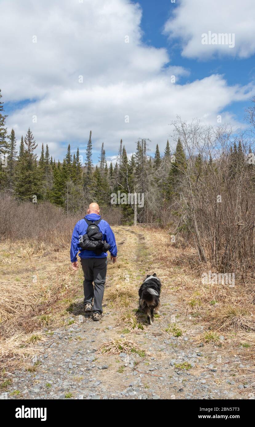 beaver meadow trail at Arrowhead Park Stock Photo Alamy