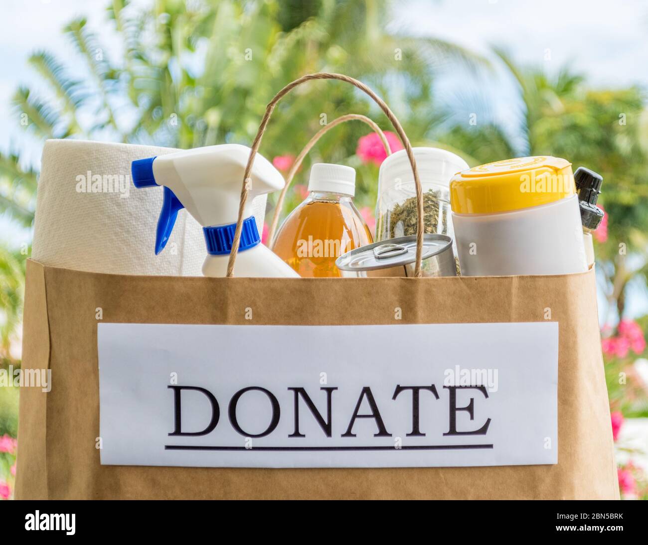 Concept of charity and donation: a bag filled with food and cleaning supplies to be given to people in need Stock Photo