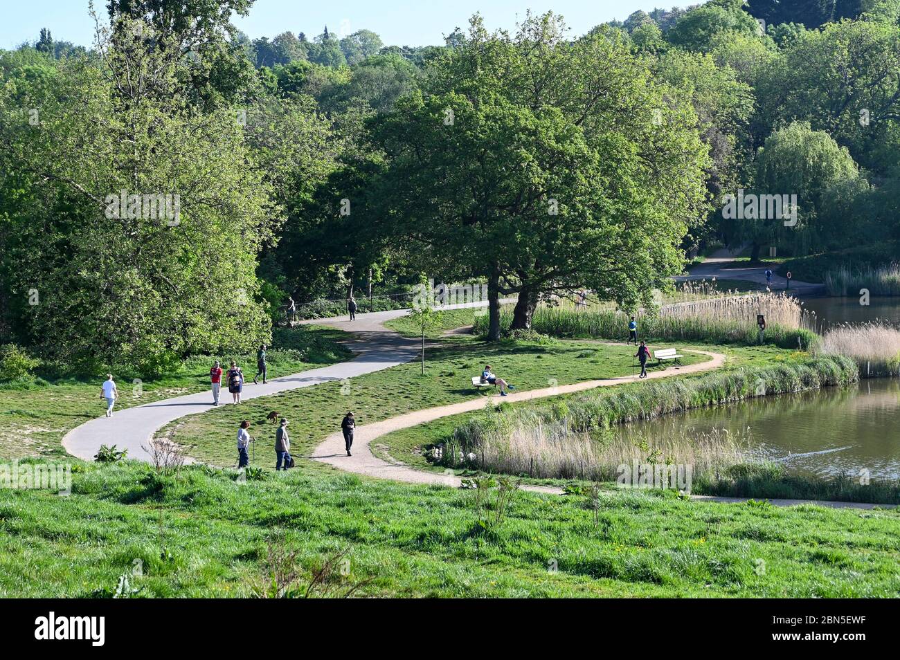 People on Hampstead Heath, London, walking and running and observing social distancing ti varying degrees, during the coronavirus pandemic. Stock Photo