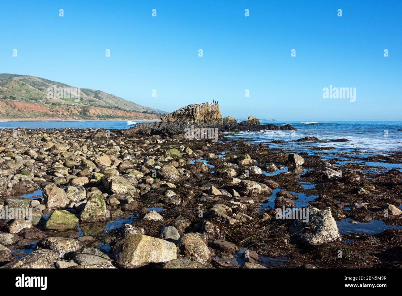 Three cormorants perch on top of a large rock outcrop during low tide at Leo Carrillo State beach, Malibu, California. Stock Photo