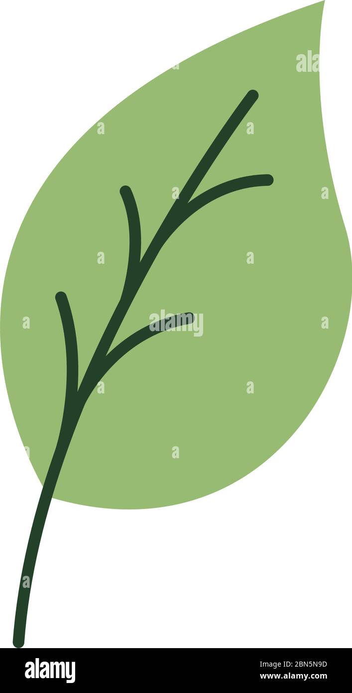 leaf plant organic flat style icon Stock Vector Image & Art - Alamy