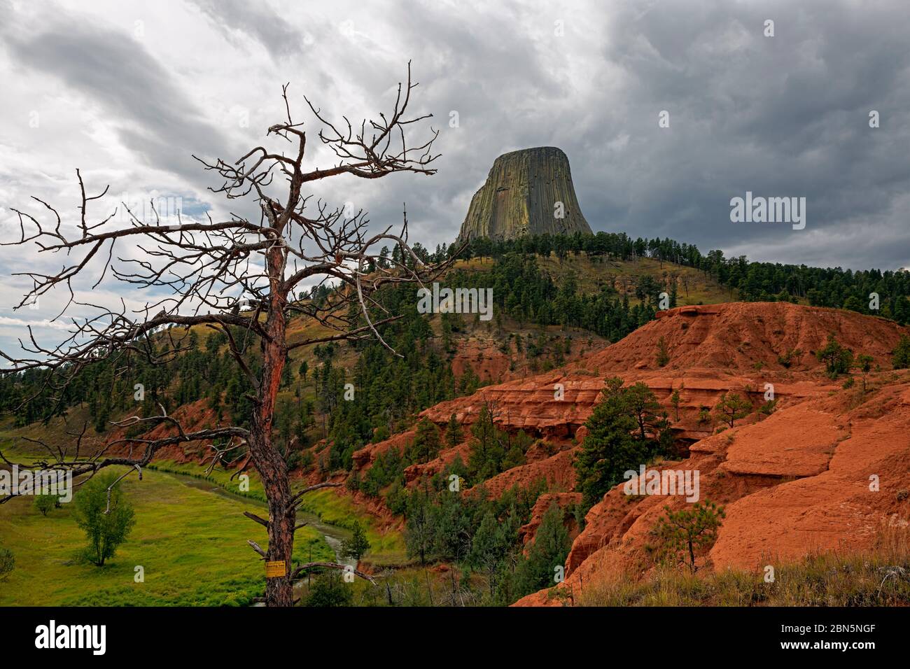 WY0423600...WYOMING Red bluffs above the Belle Fourche River in Devil's Tower National