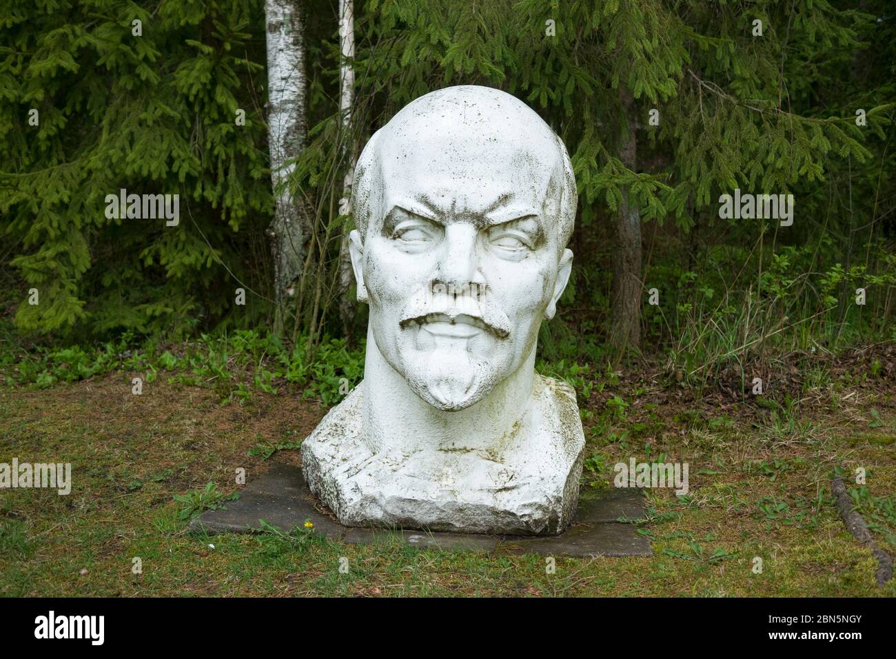 White stone marble bust sculpture of Lenin. At Gruto Parkas near Druskininkai, Lithuania. Stock Photo