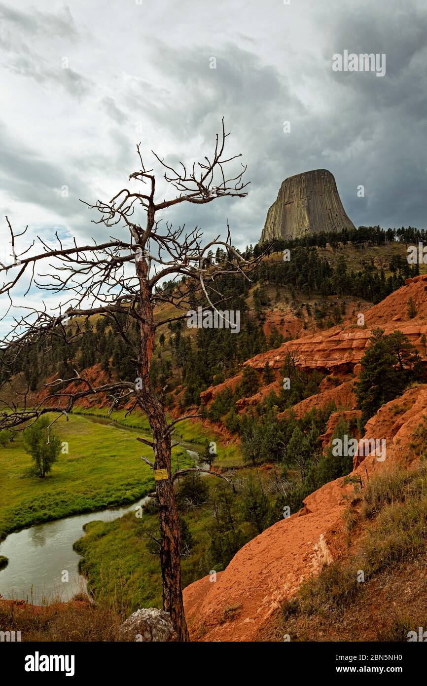 WY0423700...WYOMING Red bluffs above the Belle Fourche River in Devil's Tower National