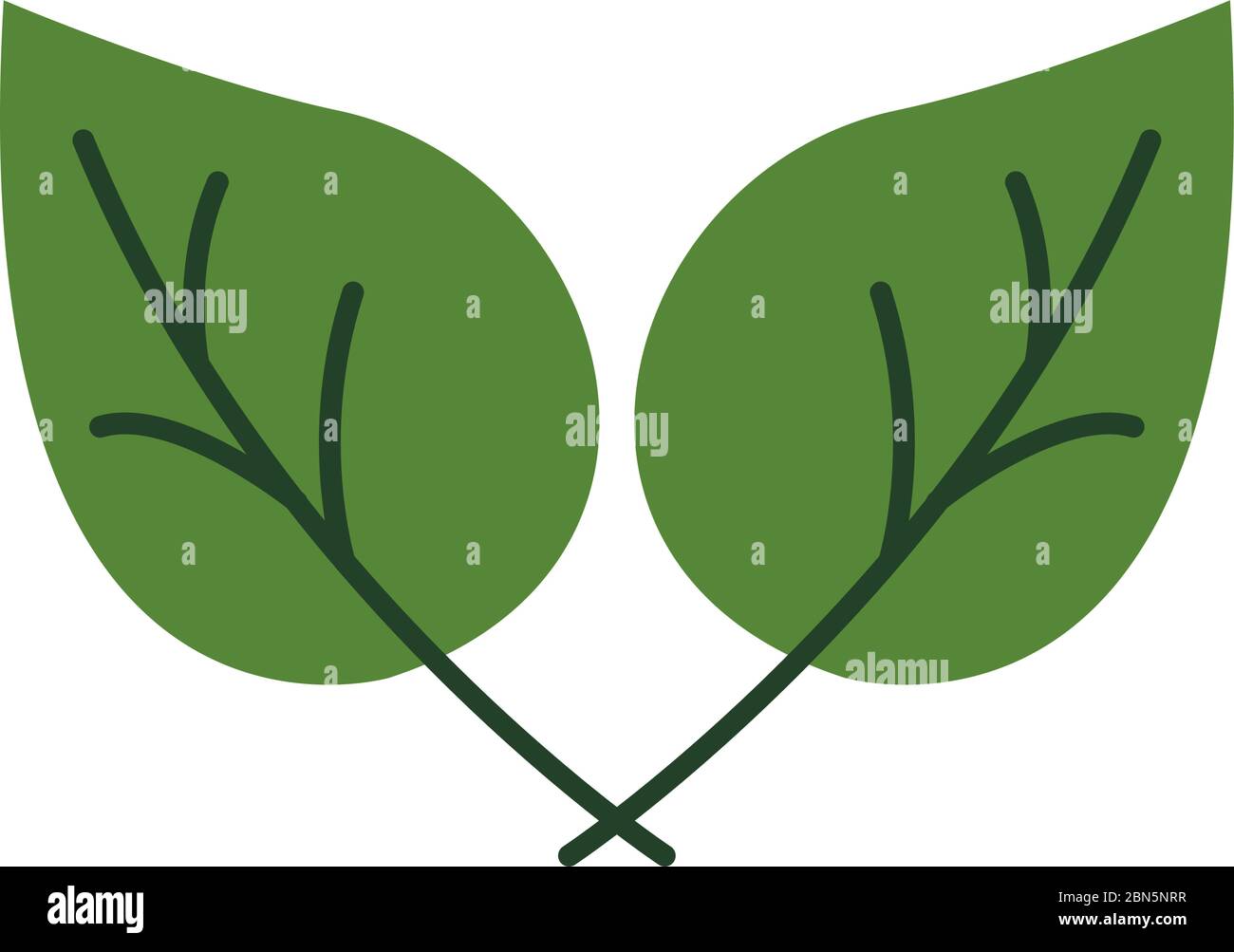 leafs plant organic flat style Stock Vector Image & Art - Alamy