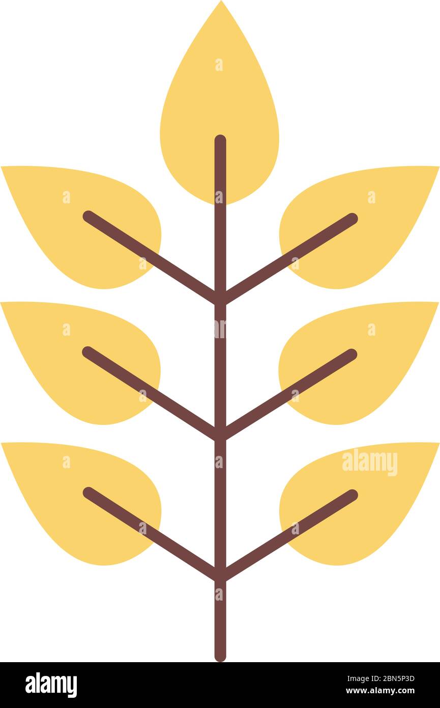 branch with leafs plant organic flat style Stock Vector Image & Art - Alamy