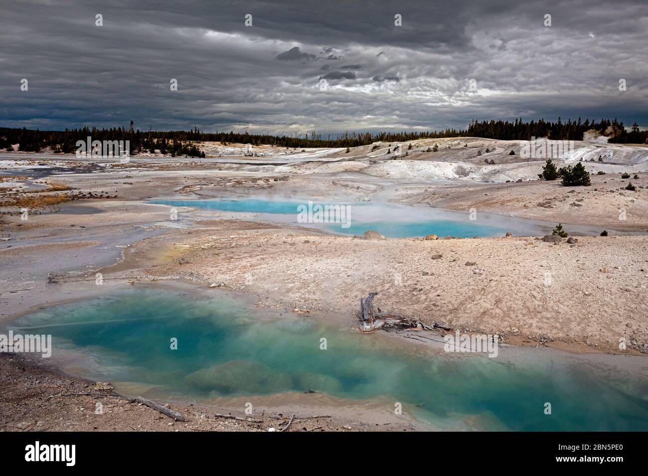 WY04273-00...WYOMING - Hot springs in Porcelain Basin, part of the Norris Geyser Basin, in Yellowstone National Park. Stock Photo