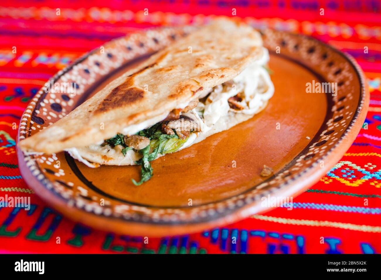 mexican quesadilla with squash blossom, cheese and sauce in mexico city