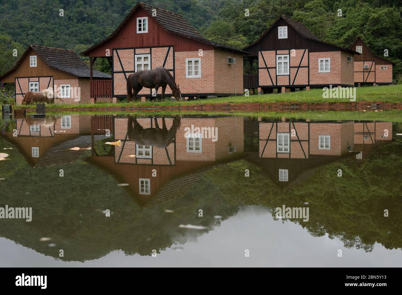 Pomerode, Santa Catarina, Brazil - November 26, 2015: Horses around Mundo Antigo (Old World), an outdoor museum of colonial German architecture Stock Photo