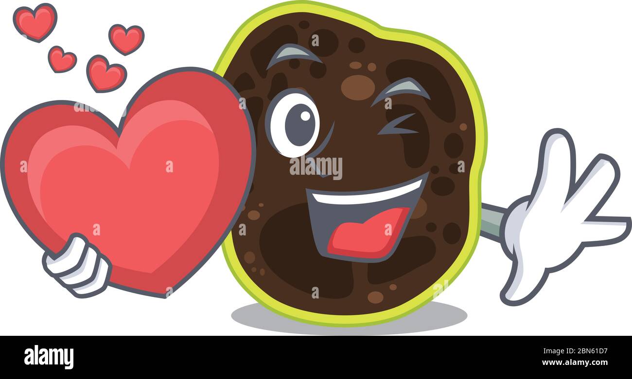 A sweet firmicutes cartoon character style holding a big heart Stock Vector