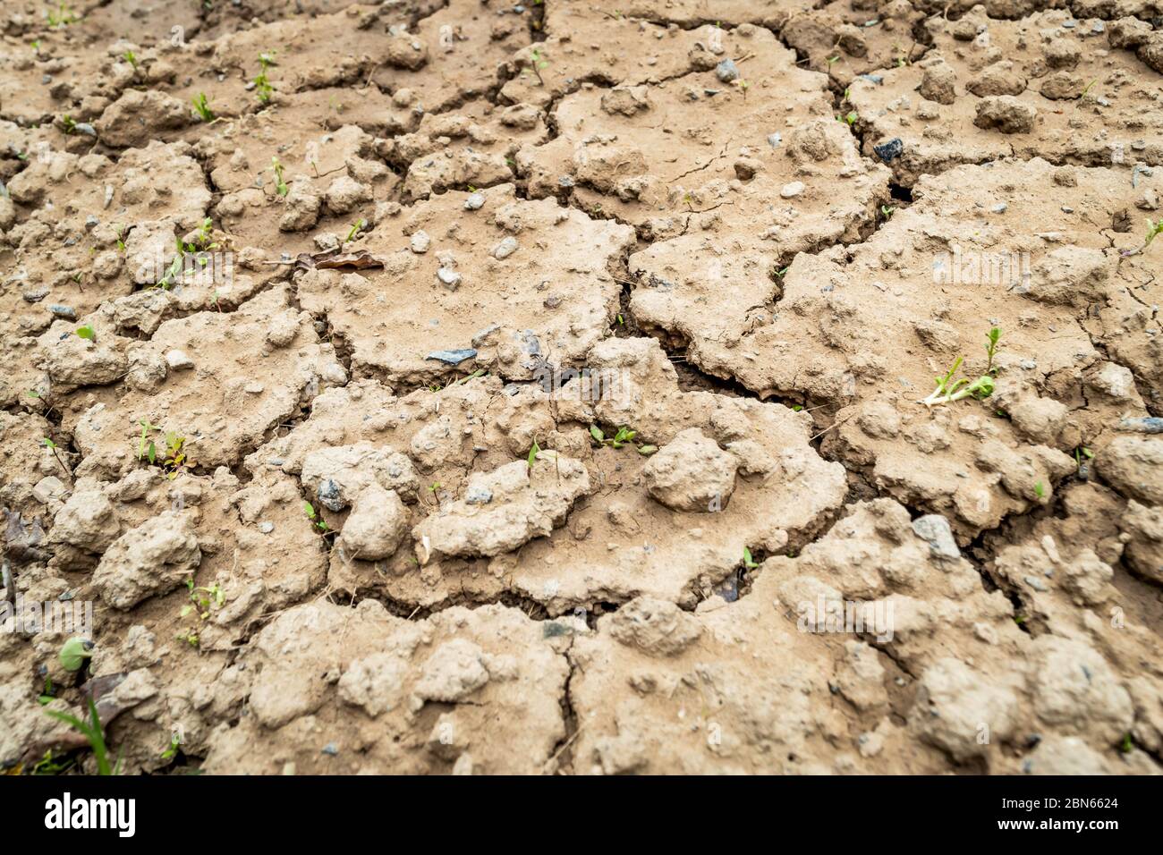 Cracks in dry soil due to lack of rainfall. Barren soil with cracks Stock Photo