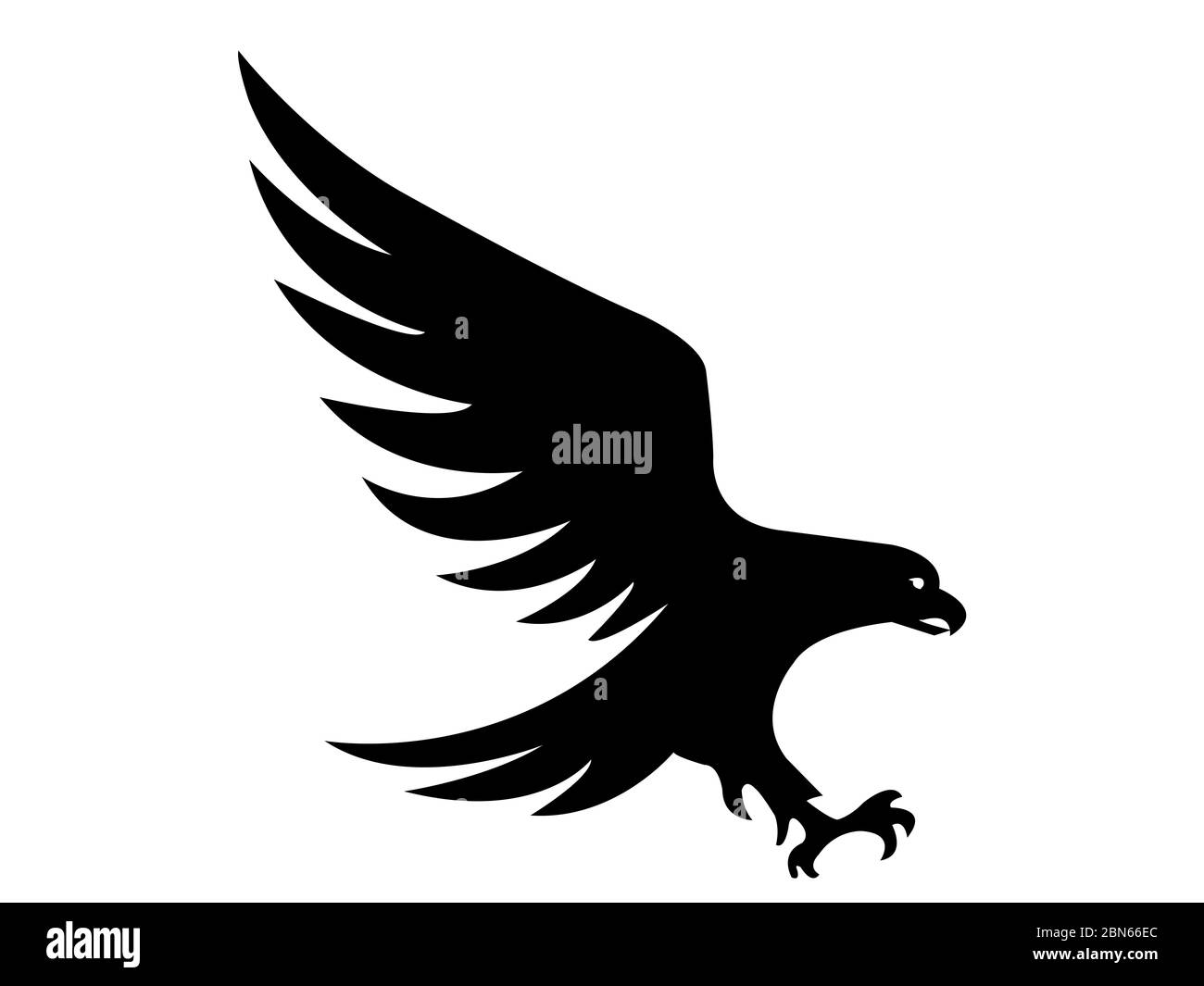 black hawk on white background Stock Photo - Alamy