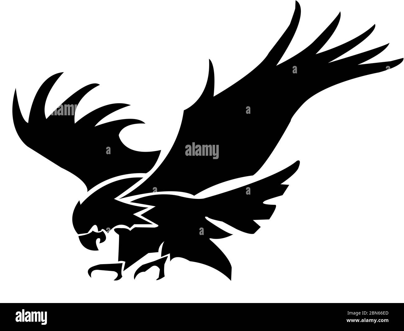black hawk on white background Stock Photo Alamy