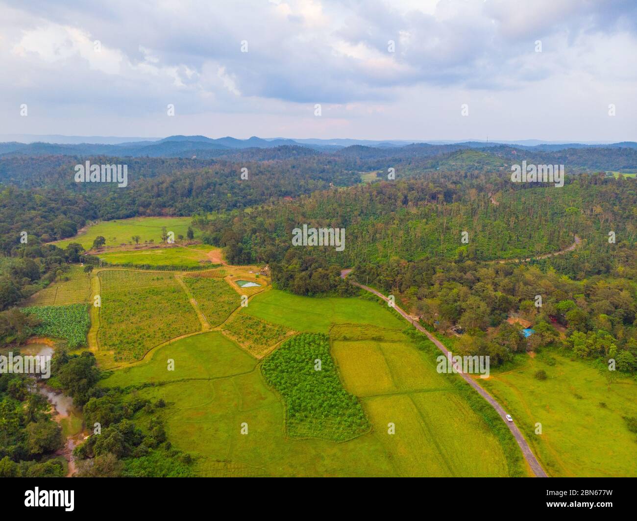 Aerial view of lush green paddy fields, jungles and a scenic road traversing through the landscape of a village near Sakleshpur (Karnataka, India) Stock Photo