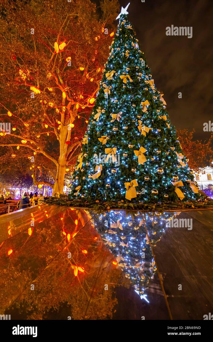 Christmas tree in Vienna, Austria Stock Photo Alamy