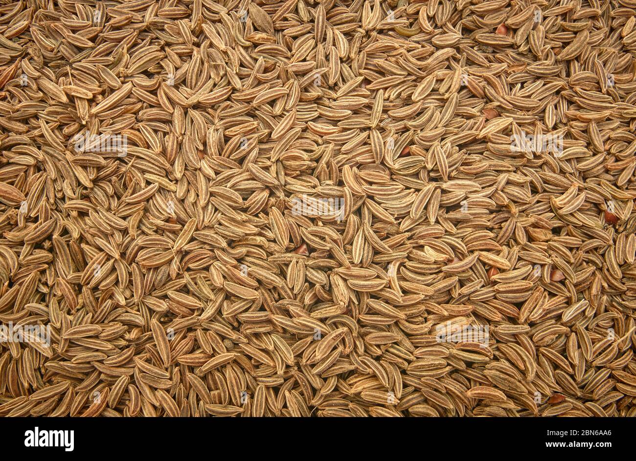 Surface covered with cumin seeds as a backdrop texture composition Stock Photo