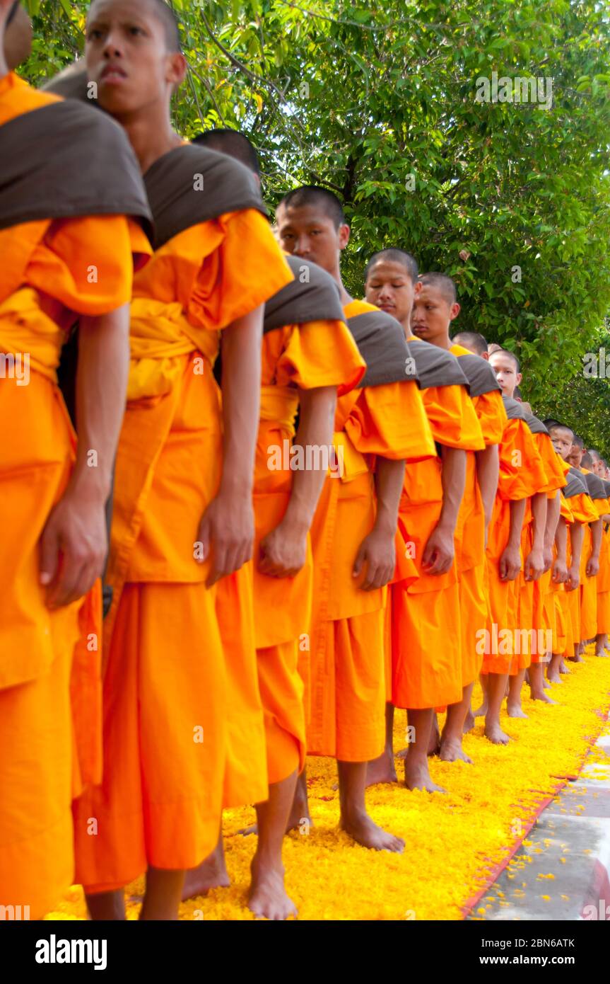 Thailand: Some of the 500 dhutanga monks processing around Chiang Mai's central moat on a bed of flower petals. April 9, 2014.  Dhutanga (Known in Tha Stock Photo