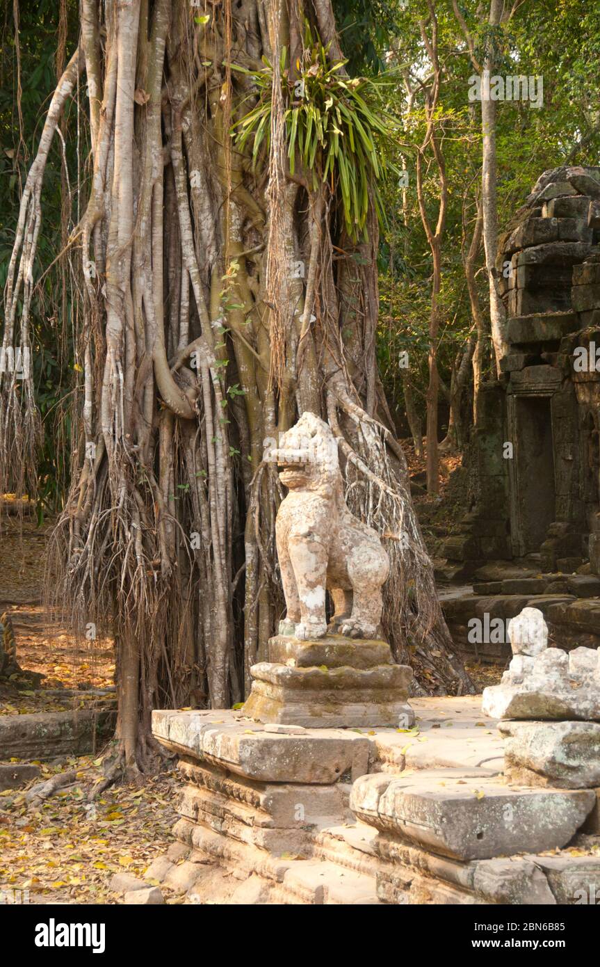Cambodia: A singha or mythical lion guards the eastern entrance at Preah Khan, Angkor.  Preah Khan (Temple of the Sacred Sword) was built in the late Stock Photo