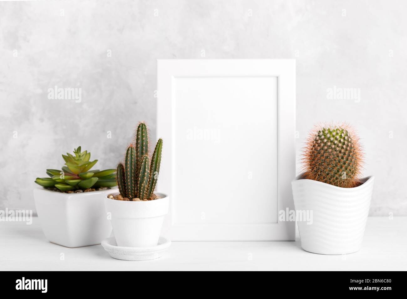 Small Cactus And Succulent Plants In Small White Pots And Empty Picture Frame Mock Up Modern Trendy House Plants On White Shelf Stock Photo Alamy