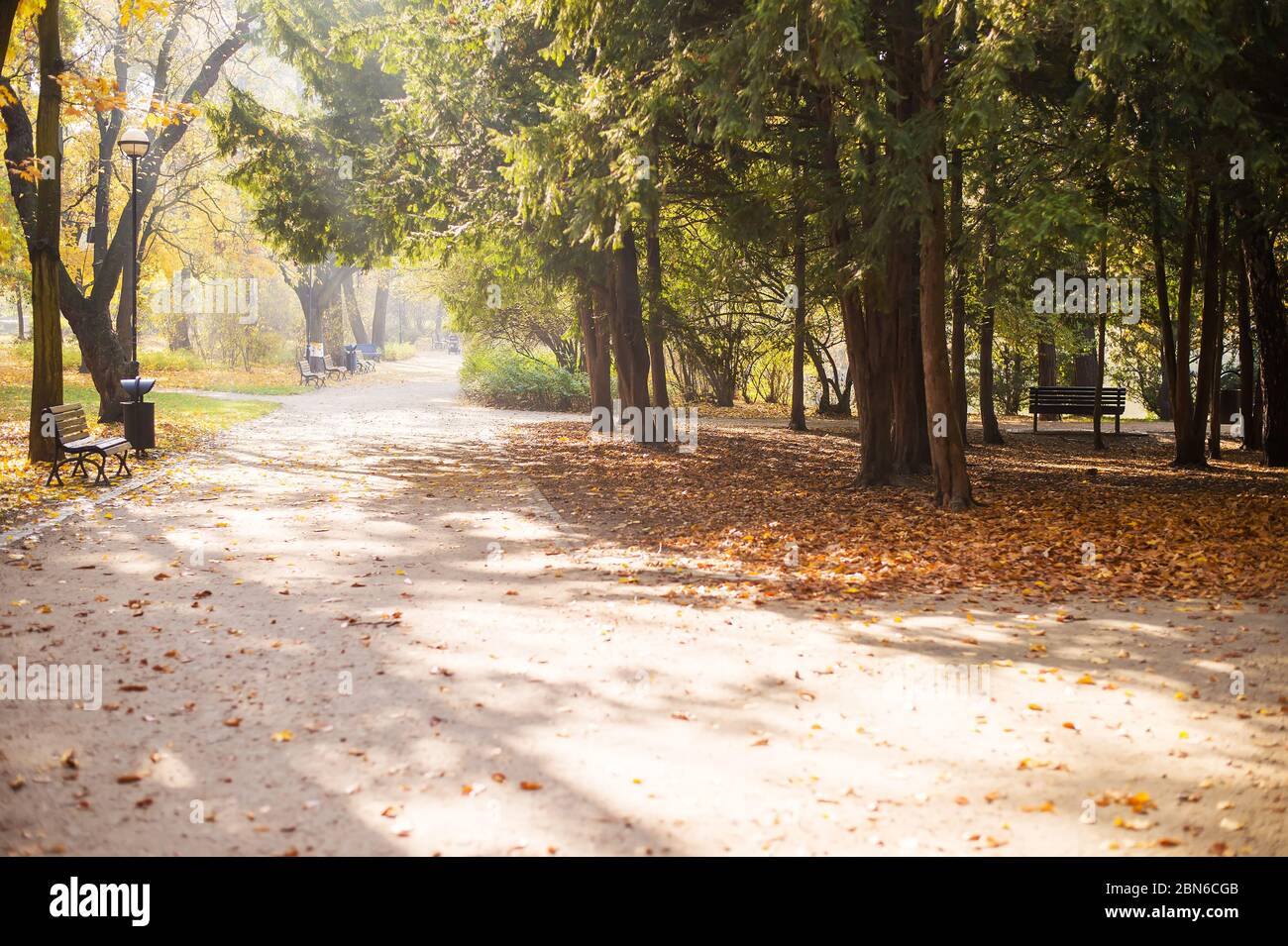 Beautiful city park hi-res stock photography and images - Alamy