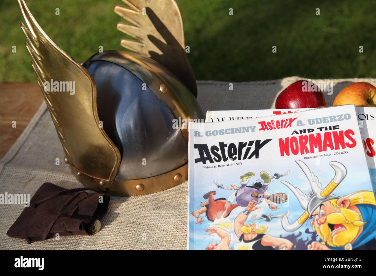 Asterix and the Normans by Jean-Yves Ferri, Illustrated by Didier CONRAD,  book cover, English version in Gaul setting with winged helmet Stock Photo  - Alamy