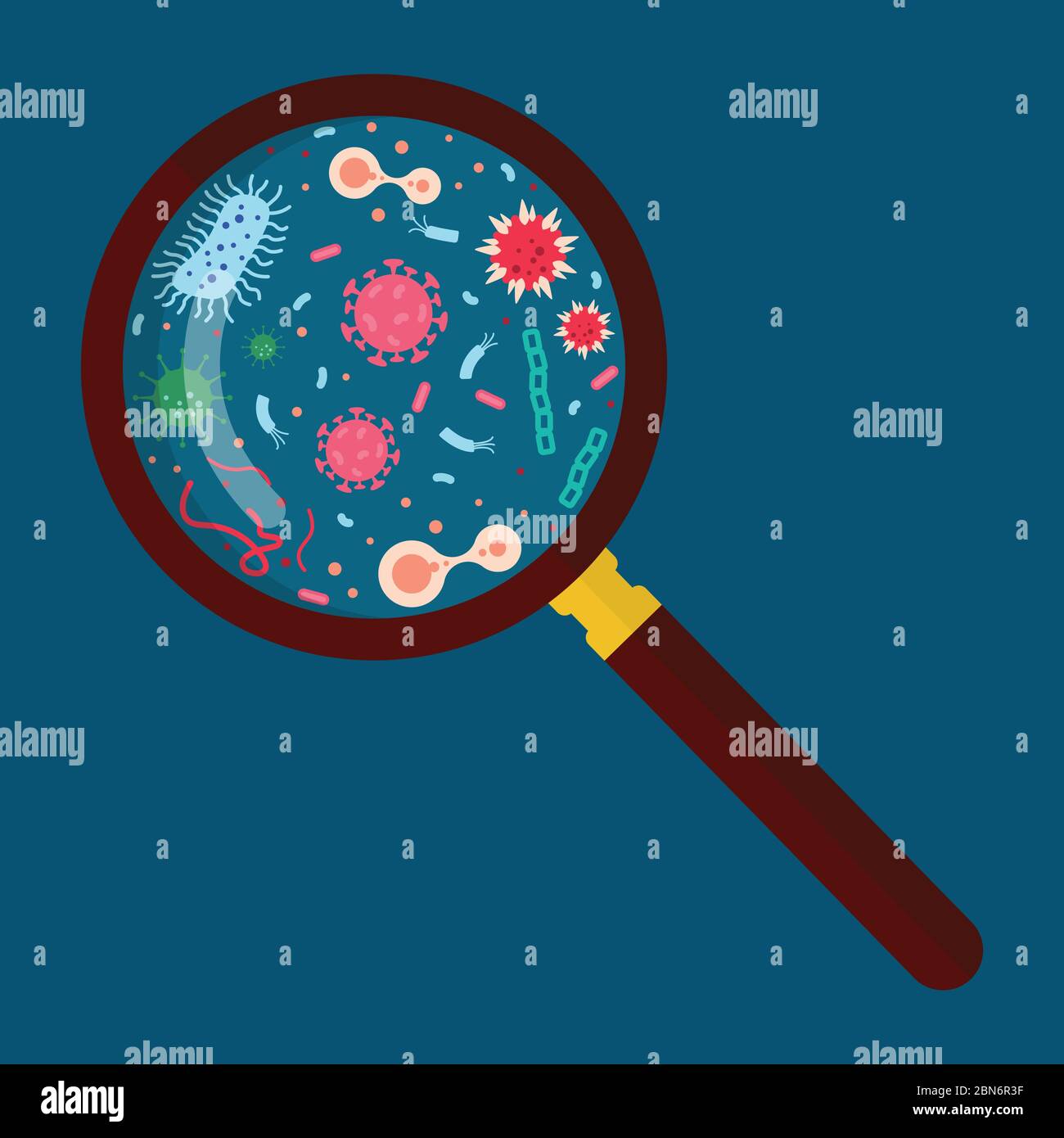 Magnifying glass with virus and bacteria. Vector illustration Stock ...