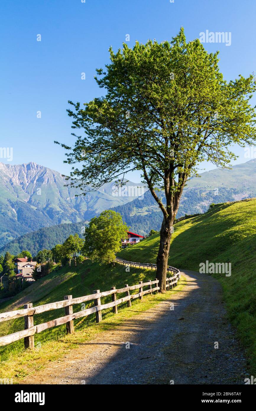 Alpine panorama in summer time, sunny day Stock Photo - Alamy