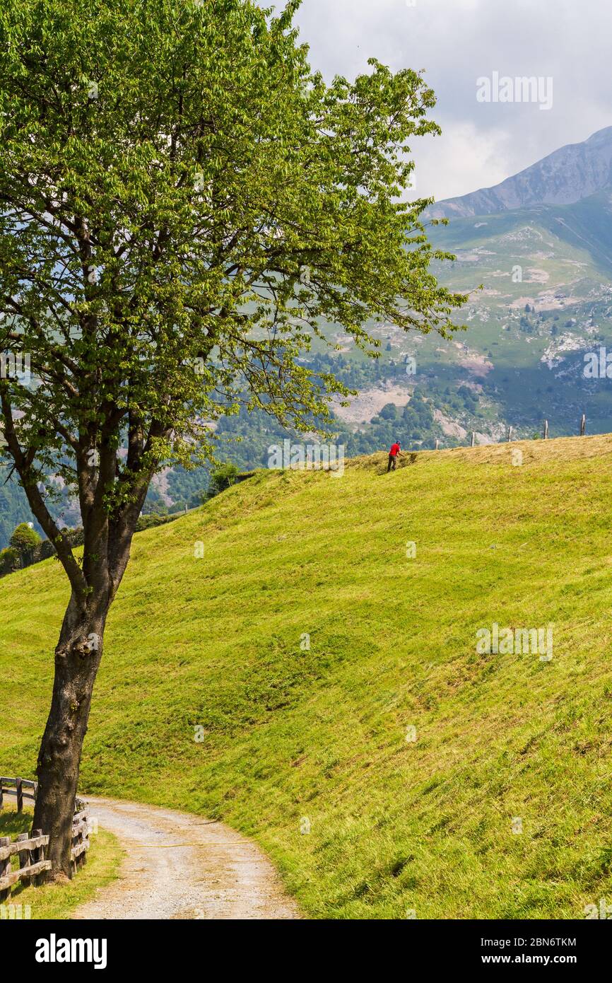 Alpine panorama in summer time, sunny day Stock Photo - Alamy