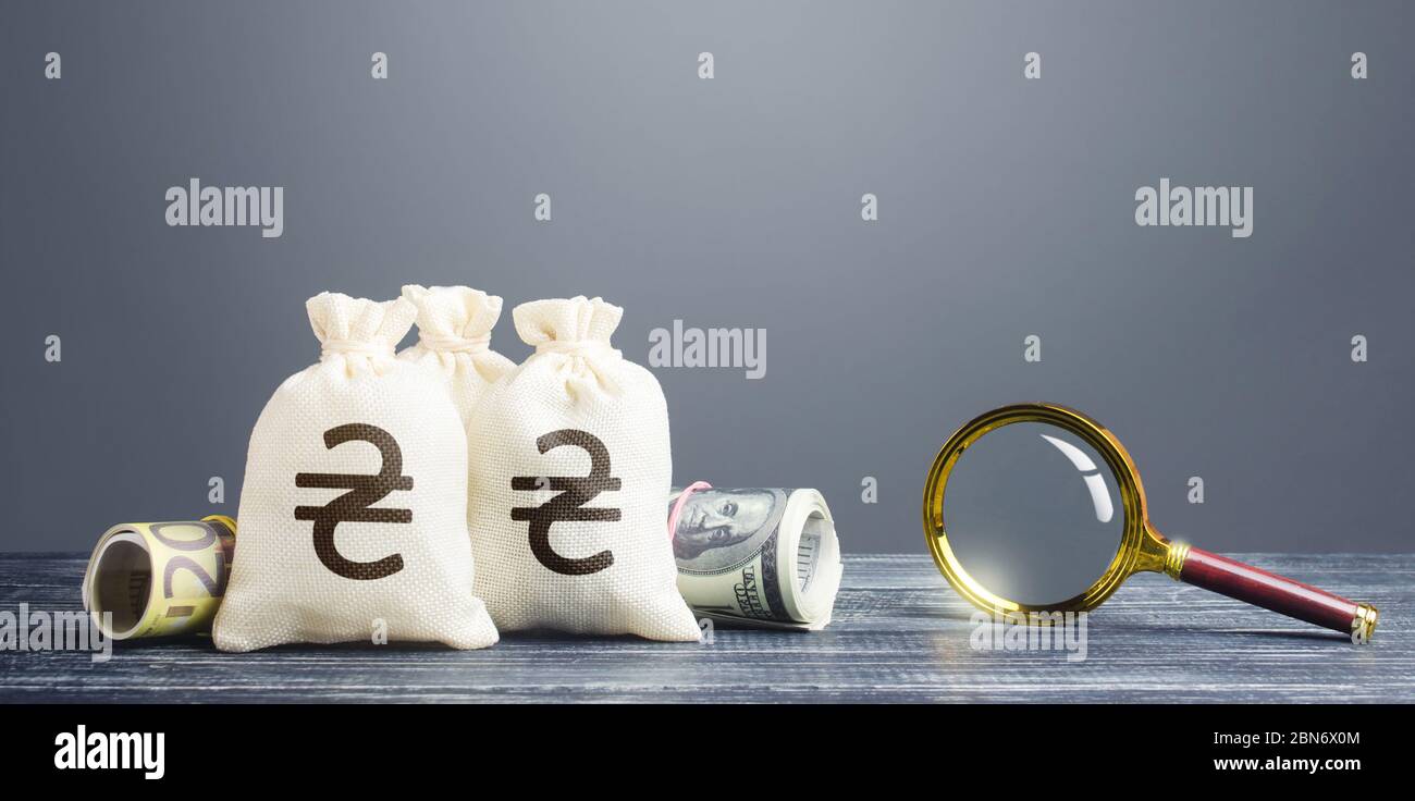 Ukrainian hryvnia money bags and magnifying glass. Profitable investment, dividends payouts. Financial monitoring of suspicious cash transactions. Sea Stock Photo
